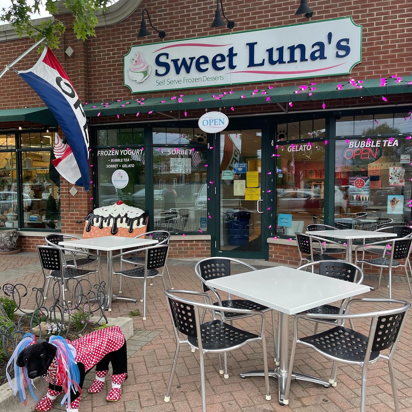 Sweet Luna's Frozen Desserts & Bubble Tea Old Saybrook