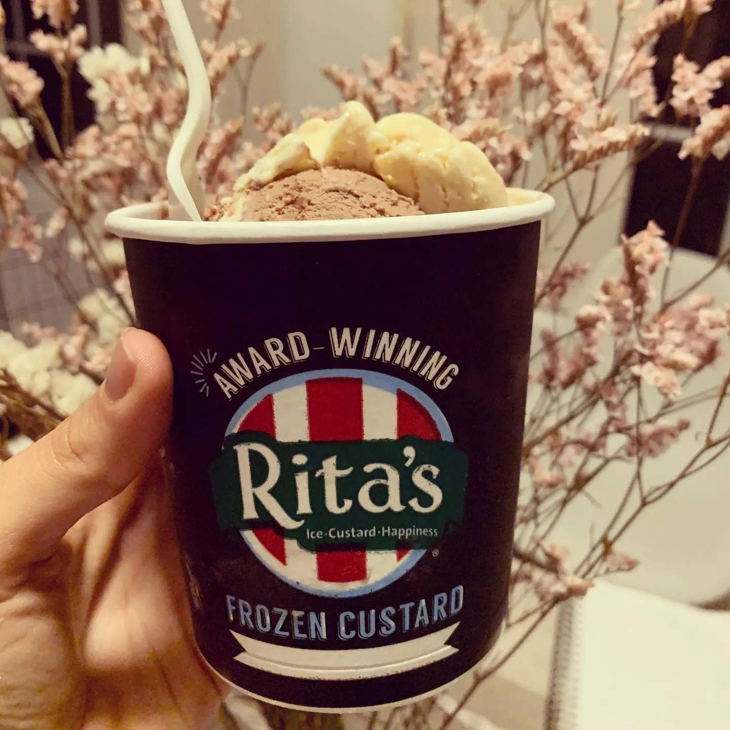 Rita's Italian Ice & Frozen Custard (Palms Blvd, Los Angeles)