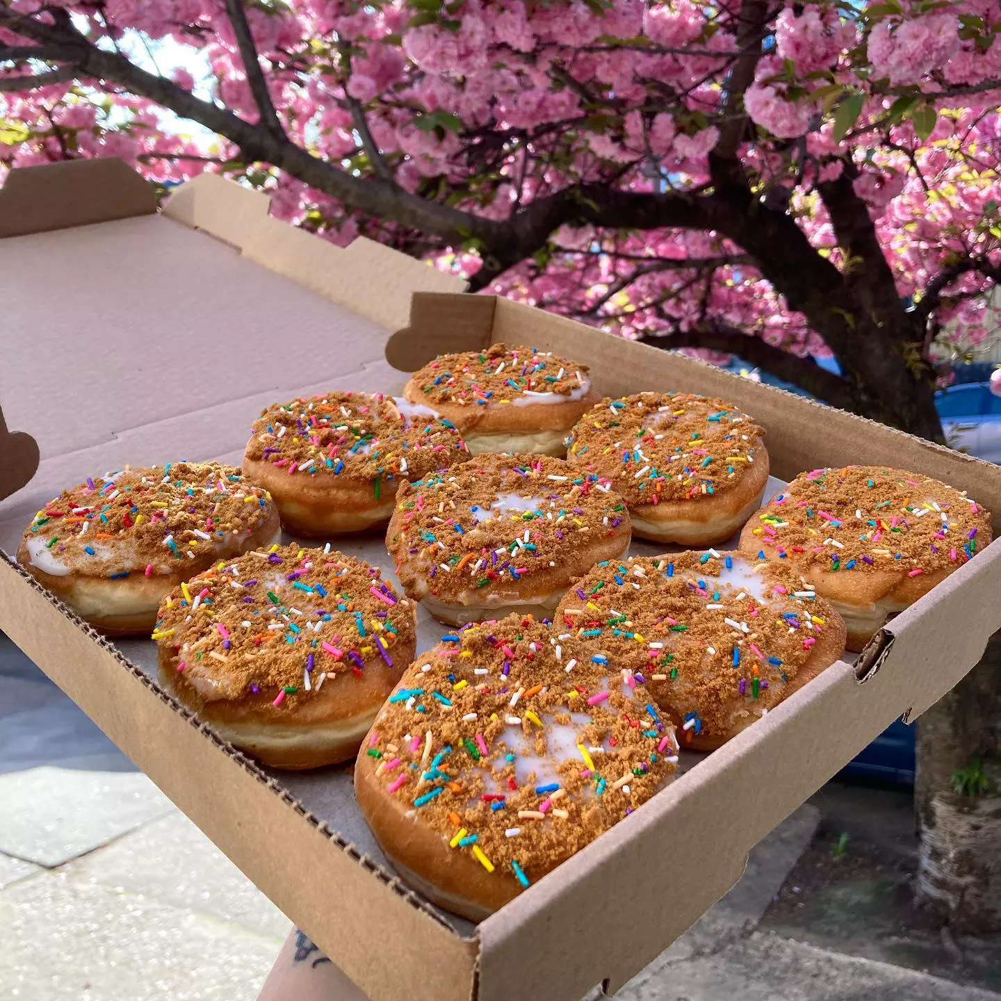 Dotties Donuts Springfield Ave