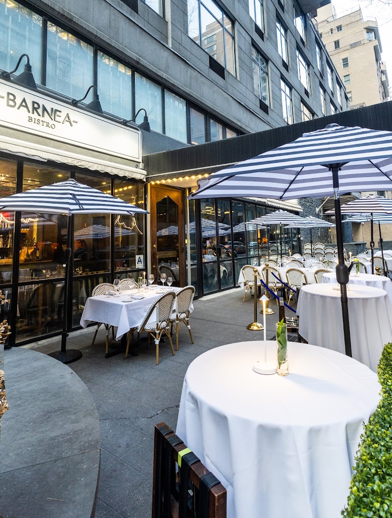 Barnea Bistro, LLC logo